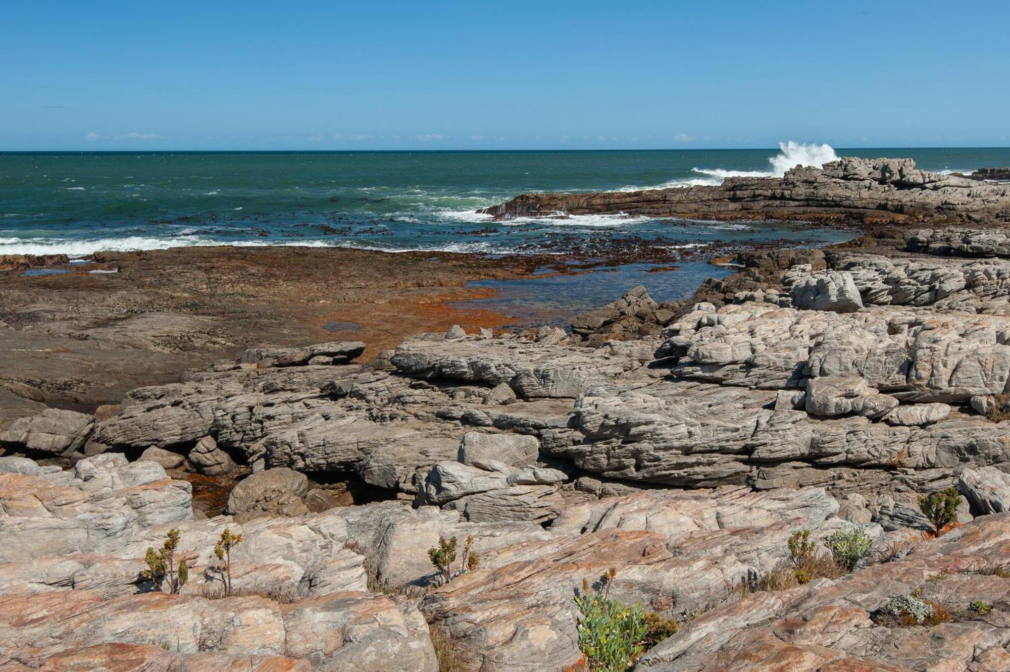 Appartamento 49 Whalerock Hermanus Esterno foto